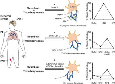 The COVID Complex: A Review of Platelet Activation and Immune Complexes in COVID-19